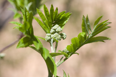 Similar image 428946