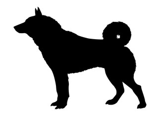 Similar image 428990