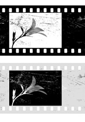 Similar image 429014