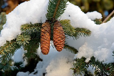 Similar image 429075