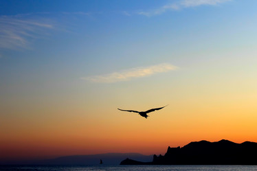 Similar image 429199