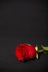 Similar image 429229