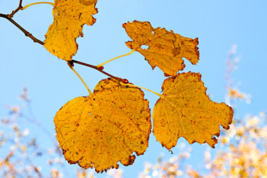 Similar image 429293