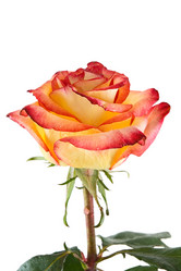 Similar image 429386