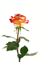 Similar image 429389