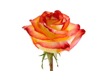 Similar image 429391