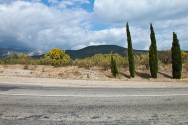 Similar image 429473