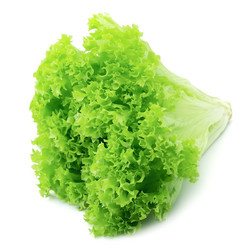 Similar image 429494