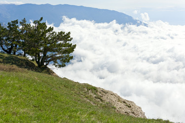 Similar image 429607