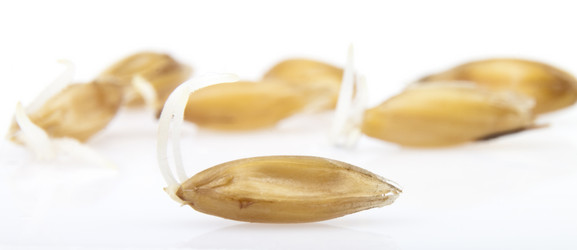 Similar image 429667