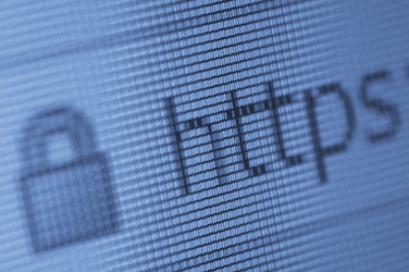 Similar image 429672