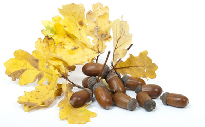 Similar image 429675