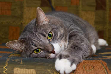 Similar image 429698