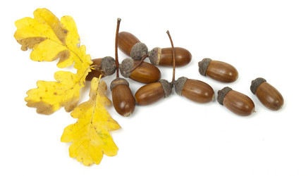 Similar image 429700