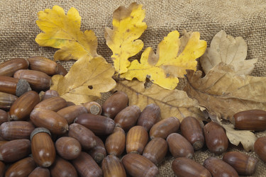 Similar image 429701