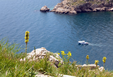 Similar image 429705