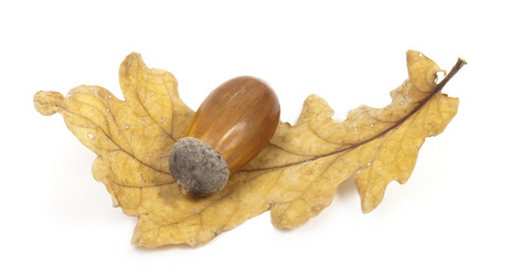 Similar image 429707