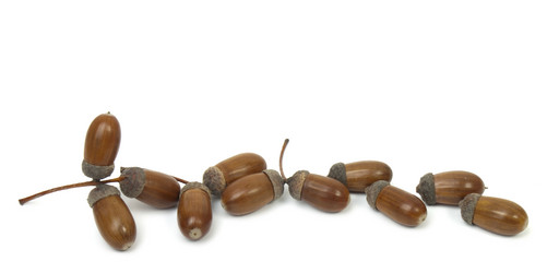 Similar image 429714