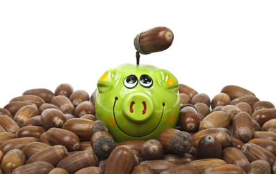 Similar image 429730