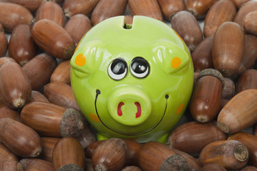 Similar image 429732