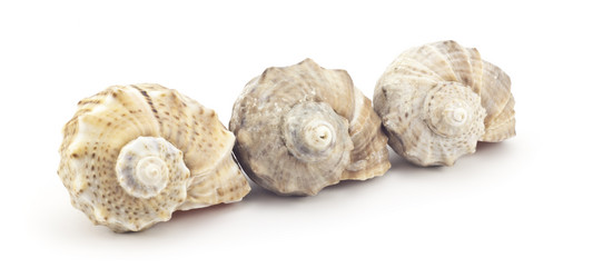 Similar image 429735