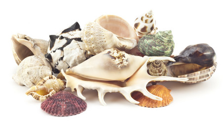 Similar image 429748