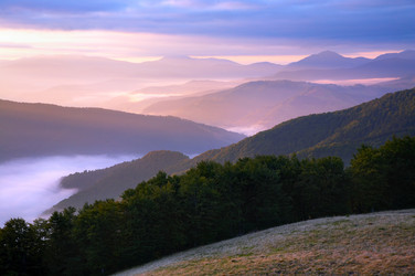 Similar image 429762