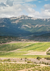 Similar image 429796