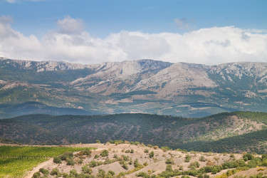 Similar image 429808