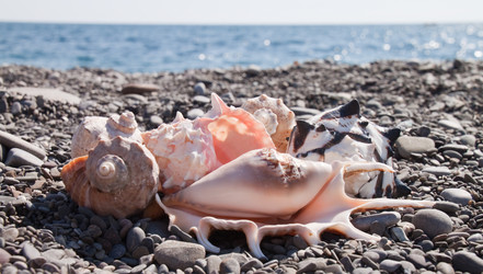 Similar image 429811