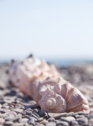 Similar image 429814