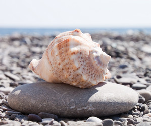 Similar image 429816