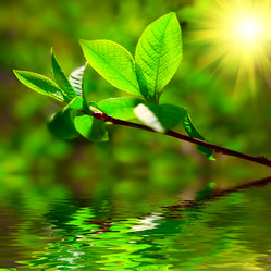 Similar image 429845