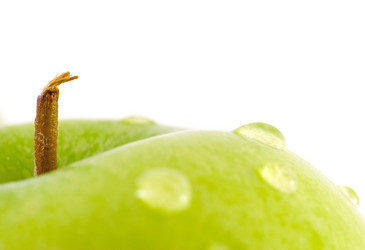 Similar image 429852