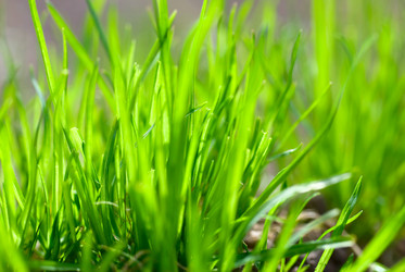 Similar image 429881