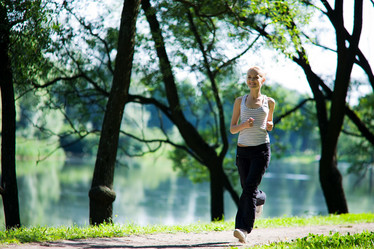 Similar image 430003