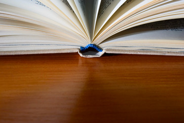 Similar image 430279