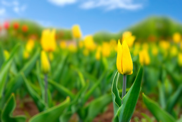 Similar image 430282