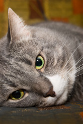 Similar image 430284