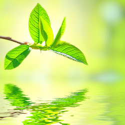 Similar image 430298