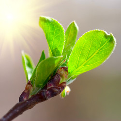 Similar image 430300