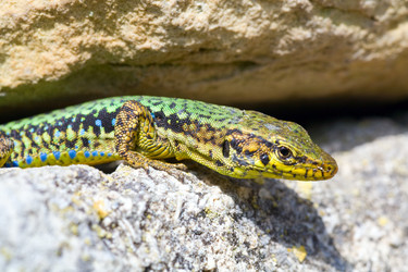 Similar image 430487