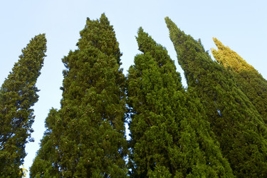 Similar image 430509