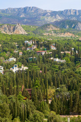 Similar image 430532