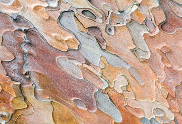 Similar image 430535