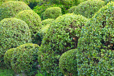 Similar image 430555