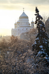 Similar image 430558