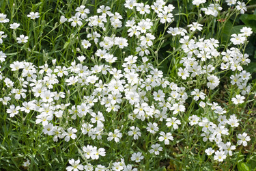 Similar image 430561