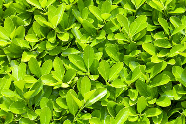 Similar image 430562