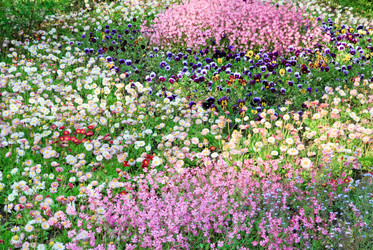 Similar image 430563